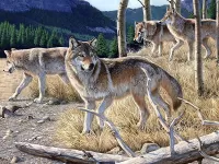 Jigsaw Puzzle Wolf pack