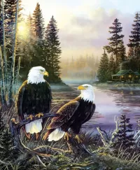 Jigsaw Puzzle Steppe eagles