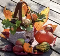 Rätsel Bag and pumpkin