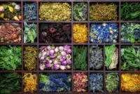 Puzzle The dried flowers