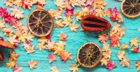 Rätsel dried citruses