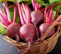 Jigsaw Puzzle Beets