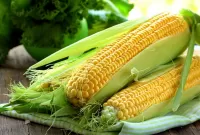Rätsel Fresh corn