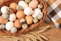 Quebra-cabeça Fresh eggs