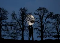 Quebra-cabeça A date under the moon
