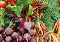Jigsaw Puzzle Beets and carrots