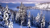 Quebra-cabeça Tahoe,lake