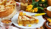 Puzzle Tart with apricots