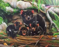Rompicapo Tasmanian devil