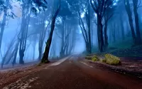 Quebra-cabeça Dark forest