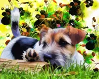 Jigsaw Puzzle Terrier