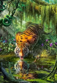 Jigsaw Puzzle Tiger by the water