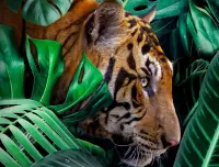 Пазл Тигр в листве 