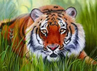 Пазл Тигр в траве