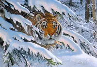 Jigsaw Puzzle Tiger in ambush