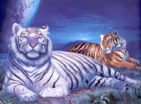 Пазл Тигры