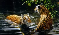Пазл Тигры в воде