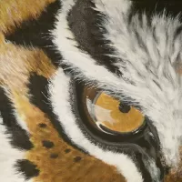 Пазл Тигриный глаз