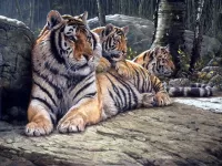 Jigsaw Puzzle Tigritsa s tigryatami