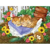 Jigsaw Puzzle Tihiy chas