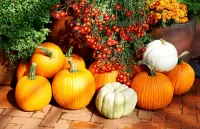 Jigsaw Puzzle Pumpkins with flowers