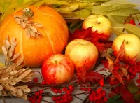 Quebra-cabeça pumpkin and apples