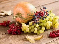 Zagadka Pumpkin and berries