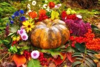 Puzzle Pumpkin with flowers