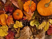Слагалица Pumpkins and leaves