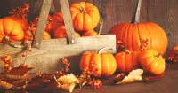Jigsaw Puzzle Pumpkins and dry leaves