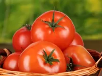 Jigsaw Puzzle Tomatoes