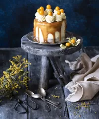 Puzzle Cake with physalis