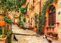 Jigsaw Puzzle Tuscan cats