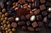 Quebra-cabeça The transformation of cocoa