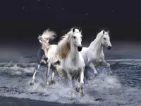 Пазл Три белых коня