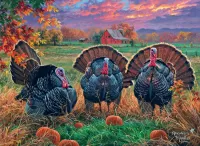 Quebra-cabeça Three turkeys