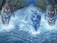 Rompecabezas Three tiger