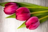 Rompecabezas Three tulips