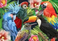 Quebra-cabeça Tropical birds