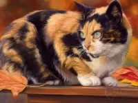 Quebra-cabeça Tricolor cat