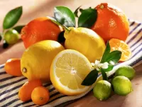 Slagalica Citrus