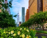 Rätsel Blooming in New York