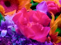 Zagadka flowers