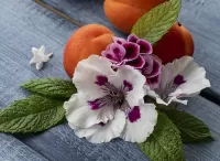 Jigsaw Puzzle Flowers and apricots