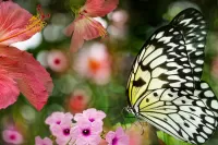 Пазл Цветы и бабочка