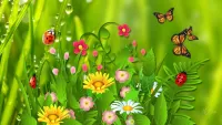 Zagadka Flowers and butterflies