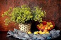 Zagadka Flowers and fruits