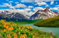 Zagadka Flowers and mountains