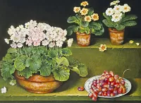 Rompecabezas Flowers and grapes