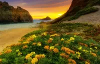 Слагалица Flowers on the coast